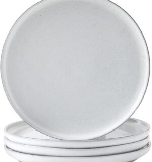 Ceramic Dinner Plates Set of 4,Stoneware 10 Inch,Microwave,Dishwasher and Oven Safe,Porcelain Dessert Plates for Pasta,Salad and Steak,Dishes Set for Kitchen,Scratch Resistant,White