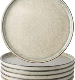 Dinner Plates Set of 6, 10.5 Inch Reactive Glaze Ceramic Plates Set, Microwave, Dishwasher Safe, Scratch Resistant, Modern Large Dinnerware Dishes Set Kitchen Stoneware Plates